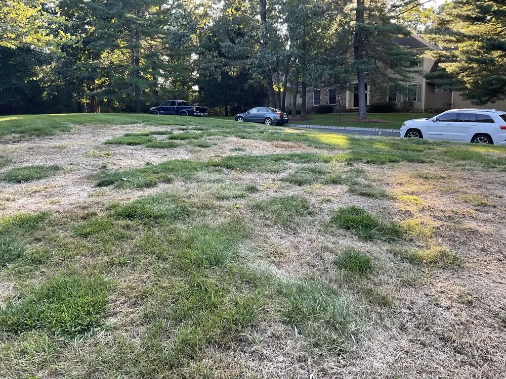 Local landscaping services in Bernardsville, NJ - Plant Solutions Tree And Lawn Care