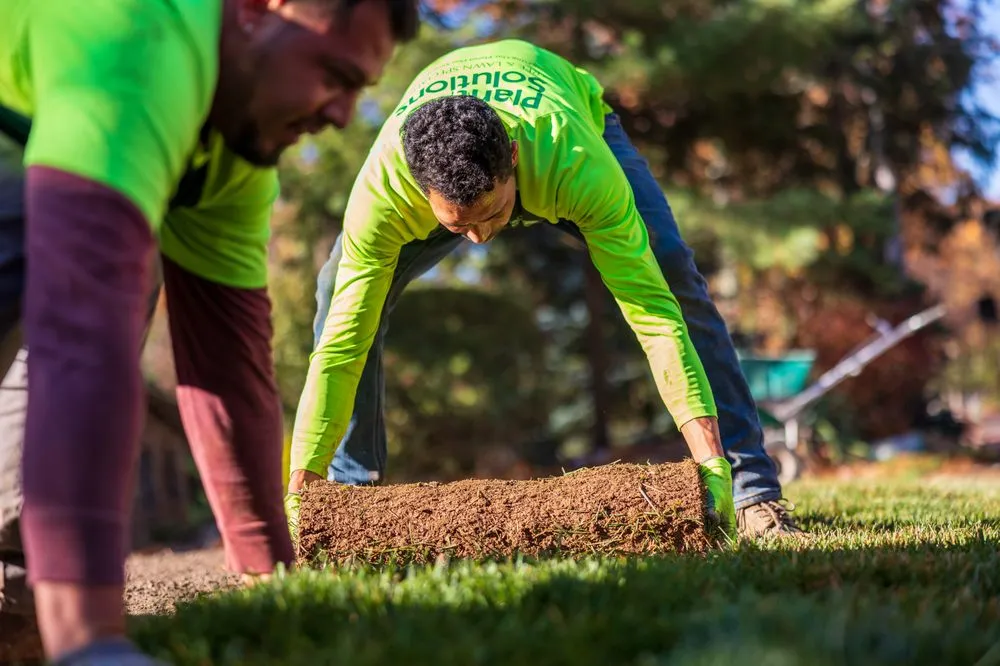 Trusted yard cleanup service in Bernardsville, NJ by Plant Solutions Tree And Lawn Care