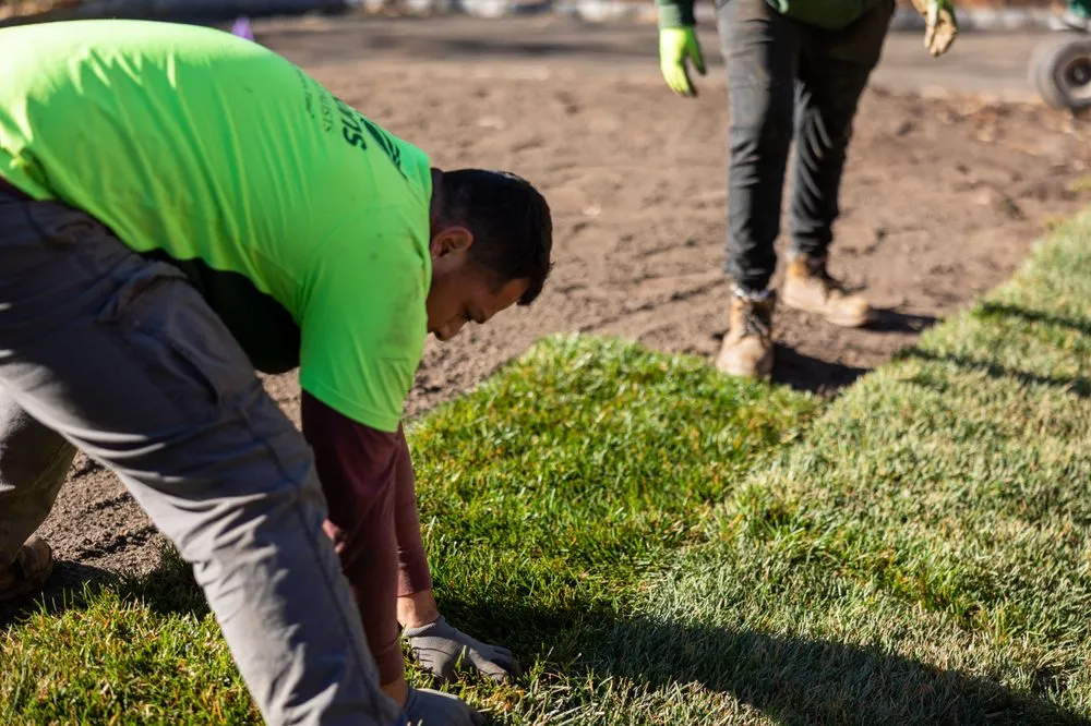 Trusted landscaping services with custom design in Bernardsville, NJ by Plant Solutions Tree And Lawn Care