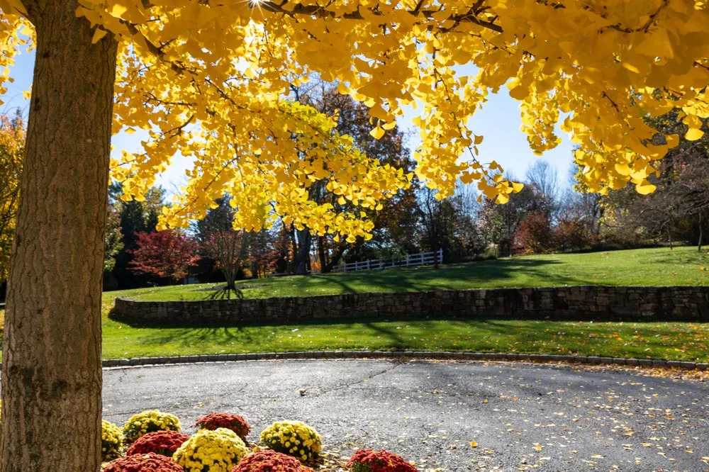 Trusted landscape installation experts serving Bernardsville, NJ - Plant Solutions Tree And Lawn Care