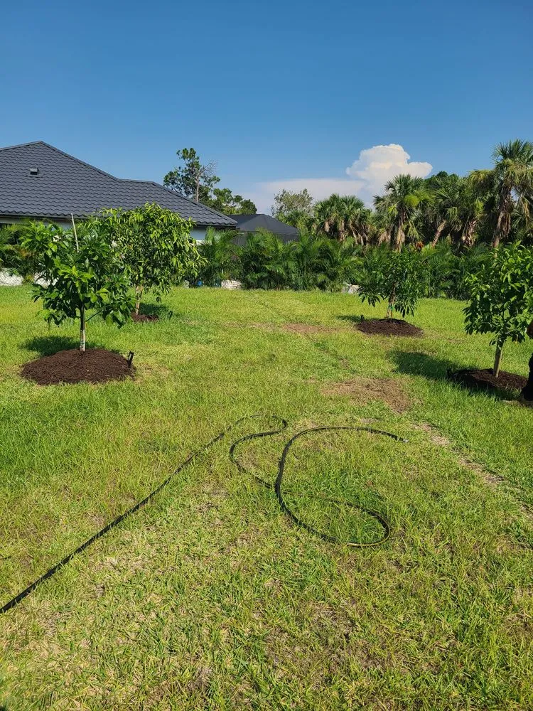 Affordable residential landscaping experts serving Osprey, FL - Plant Source Landscaping