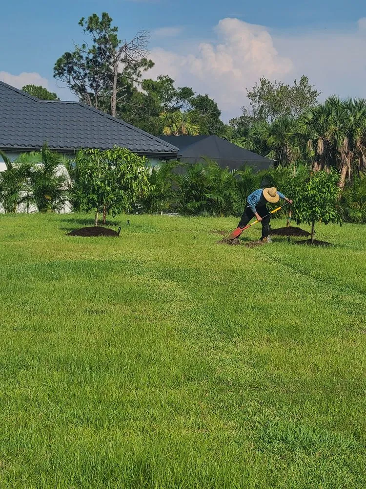 Affordable yard maintenance in Osprey, FL - Plant Source Landscaping