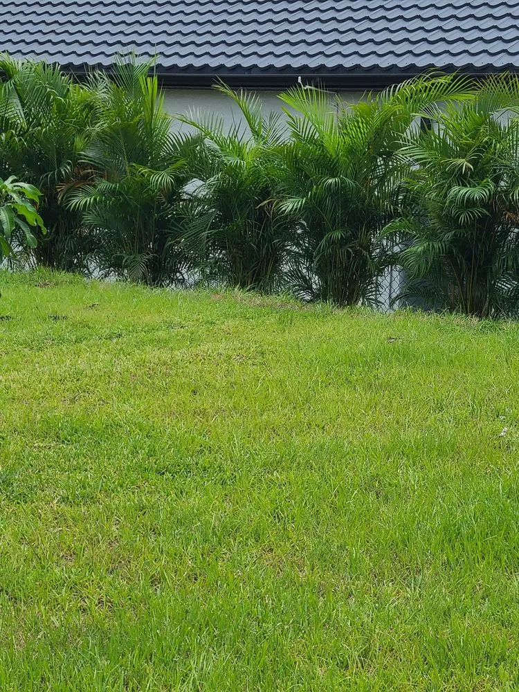 Trusted lawn mowing service experts serving Osprey, FL - Plant Source Landscaping