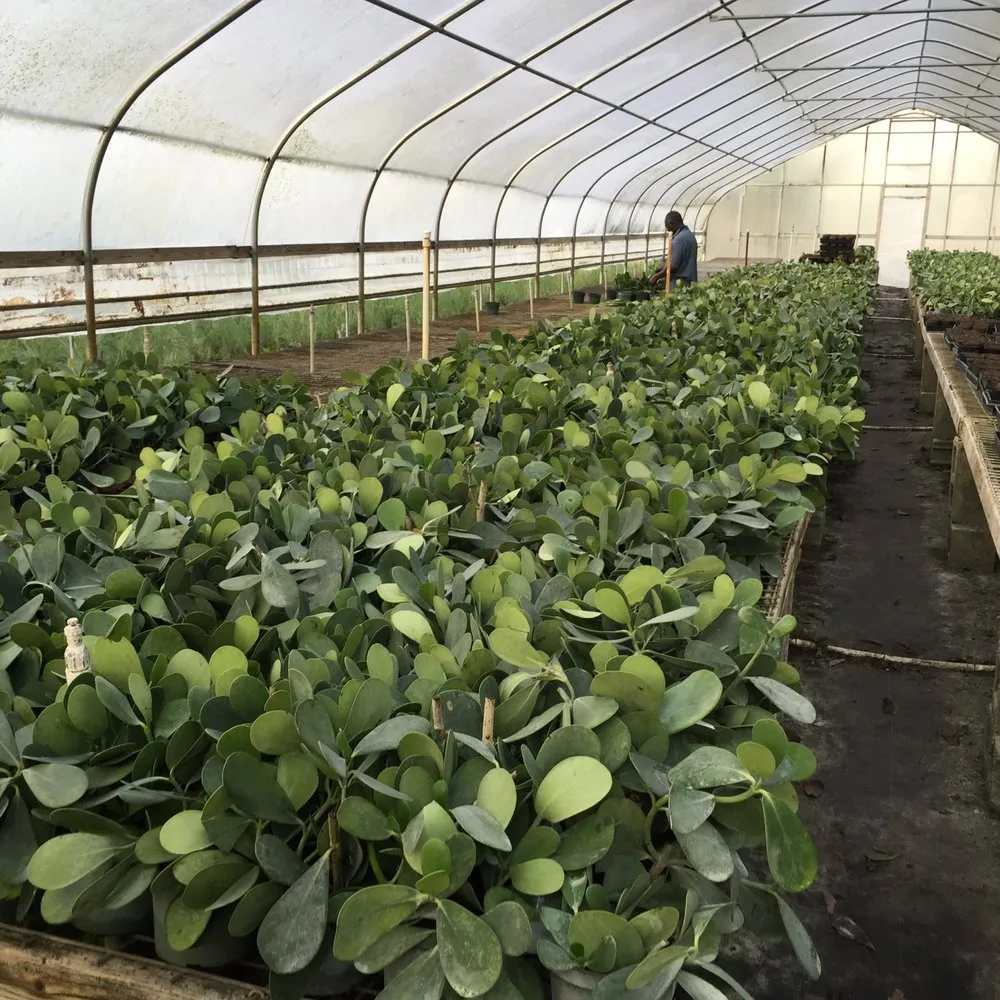 Custom lawn mowing service with custom design in Stuart, FL by Plant Source