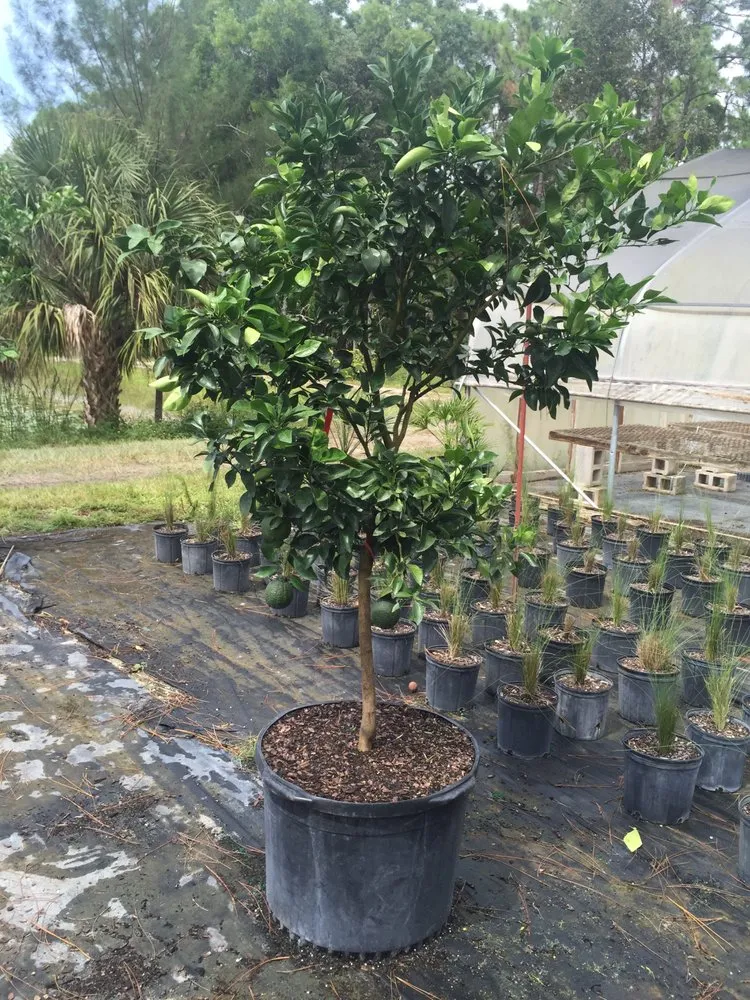Reliable garden landscaping in Stuart, FL by Plant Source