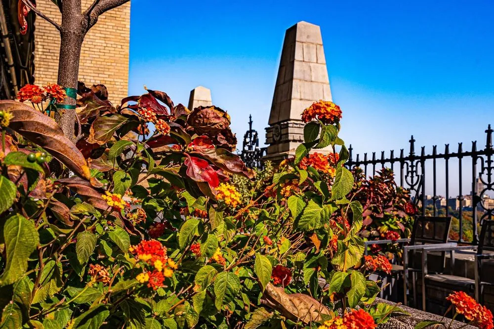 Professional landscape installation for beautiful yards across Long Island City, NY - Plant Specialists