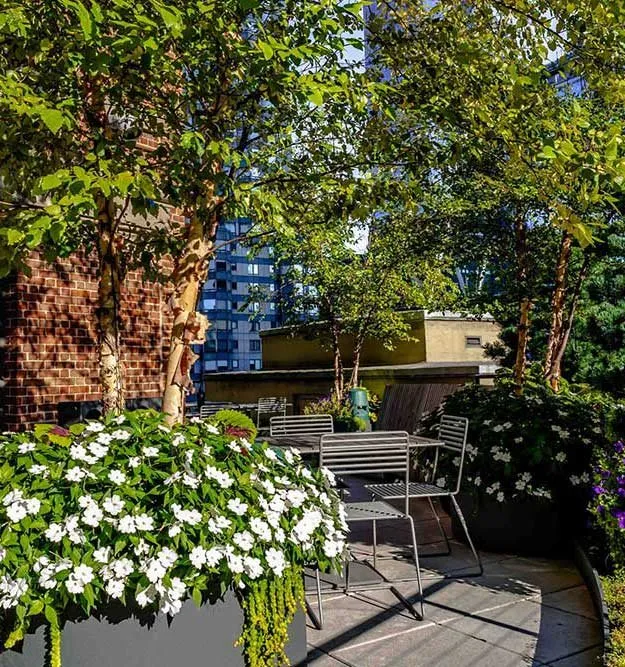 Top-rated garden landscaping for homes in Long Island City, NY by Plant Specialists