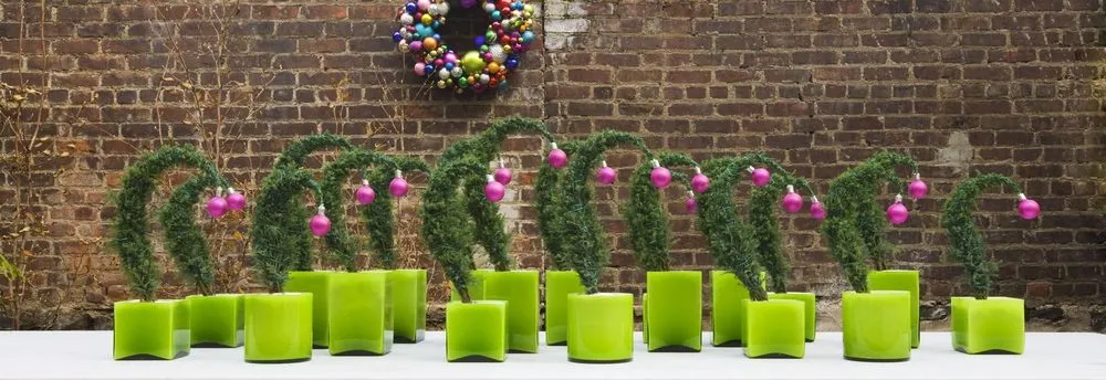 Professional yard maintenance in Long Island City, NY - Plant Specialists