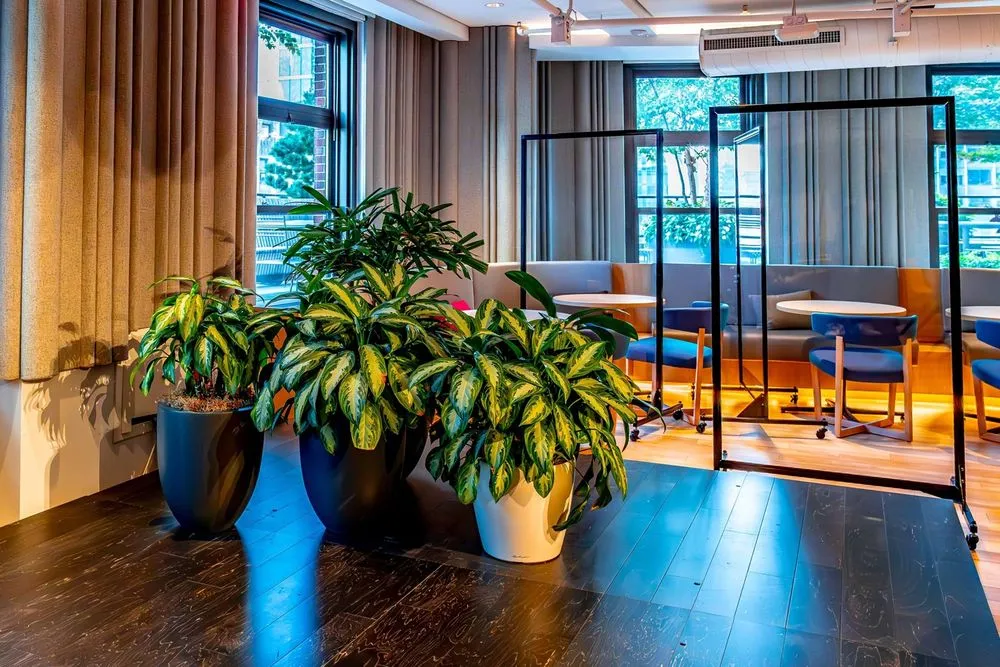 Expert landscape design for homes across Long Island City, NY - Plant Specialists