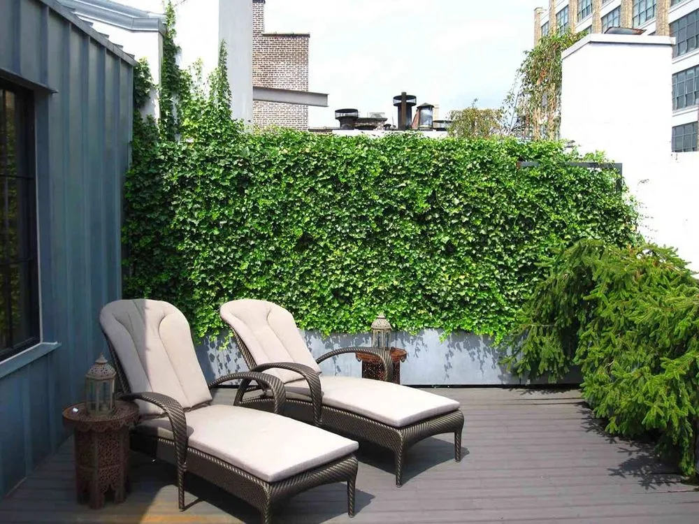 Reliable yard maintenance with custom design in Long Island City, NY by Plant Specialists