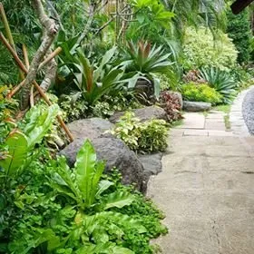 Affordable lawn mowing service for residential properties in Muncie, IN by Plant Studio Landscape