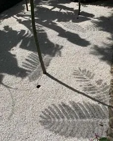 Local outdoor landscaping for year-round maintenance across Muncie, IN - Plant Studio Landscape