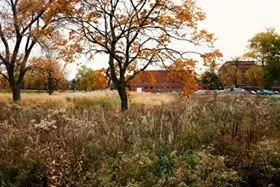 Reliable yard maintenance experts serving Muncie, IN - Plant Studio Landscape