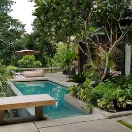 Plant Studio Landscape