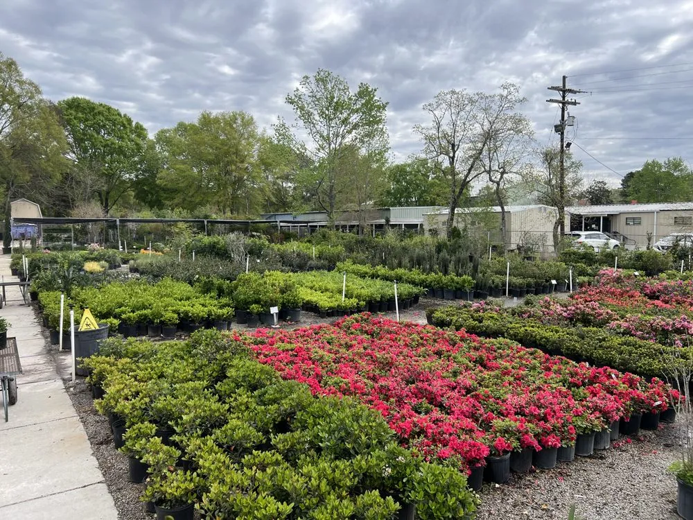 Top-rated outdoor landscaping in Baton Rouge, LA by Plant Tech