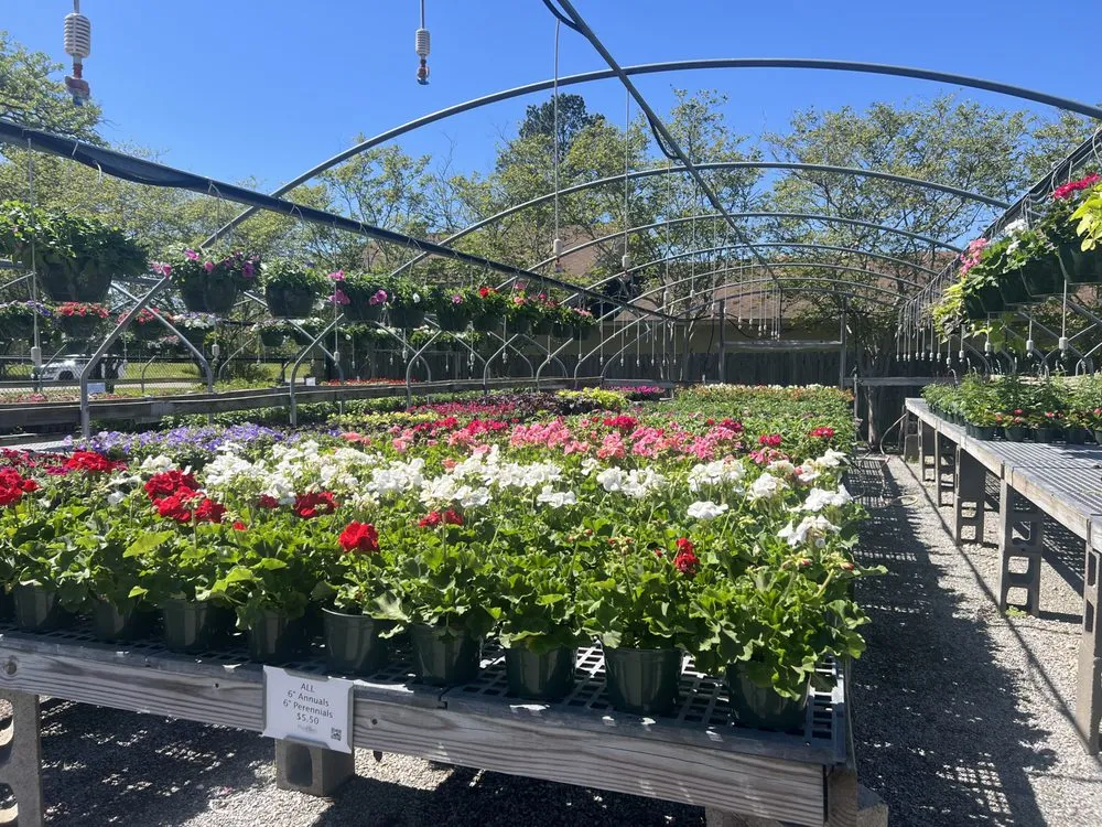 Top-rated residential landscaping for year-round maintenance across Baton Rouge, LA - Plant Tech