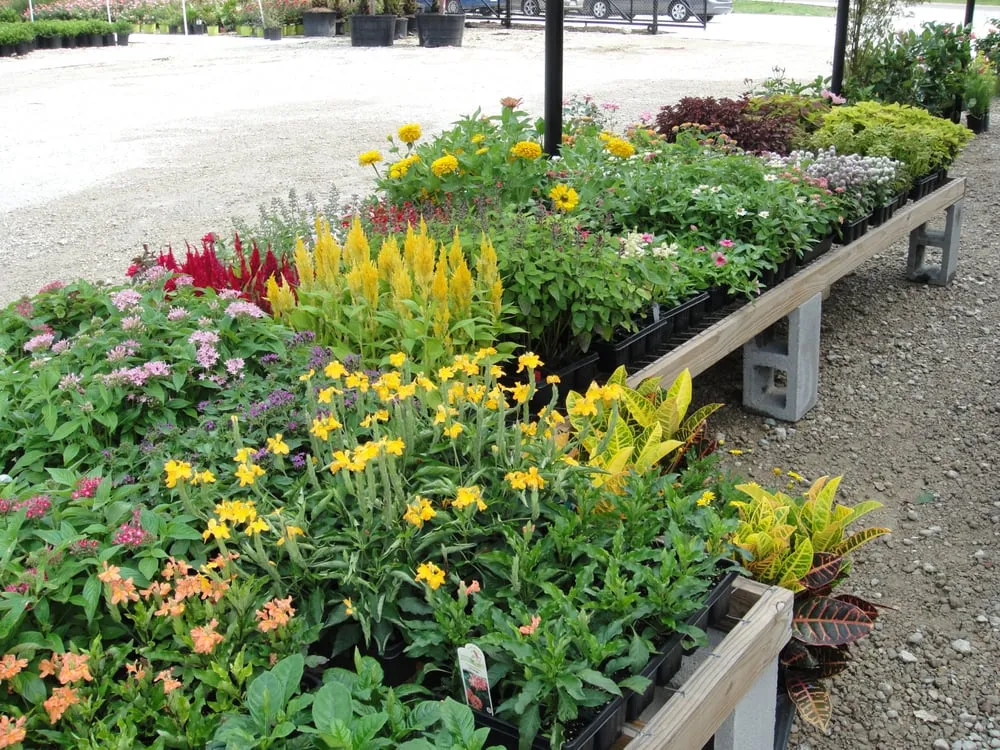 Expert landscape installation for outdoor upgrades across Baton Rouge, LA - Plant Tech