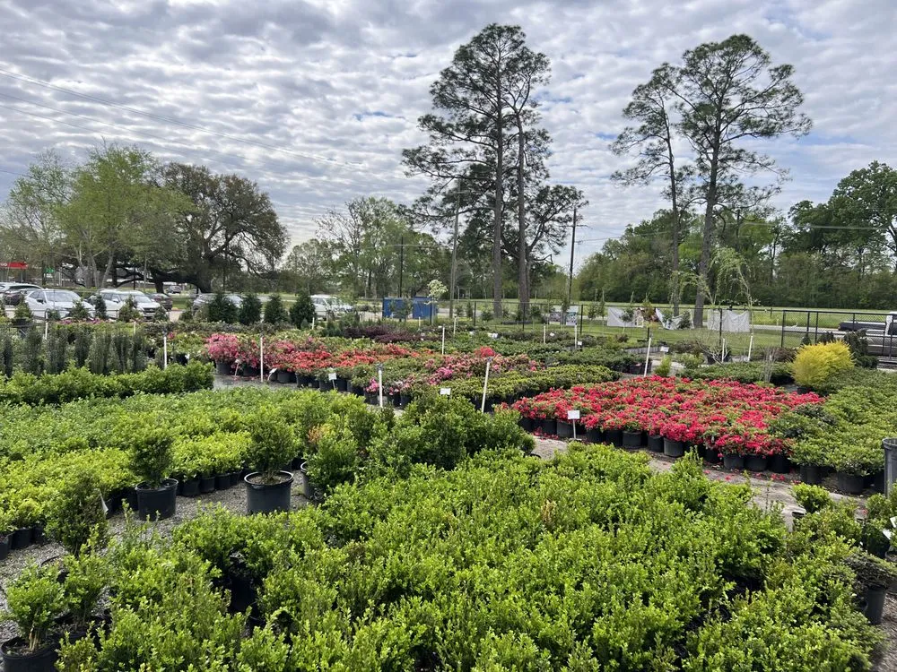 Expert landscaping services in Baton Rouge, LA - Plant Tech