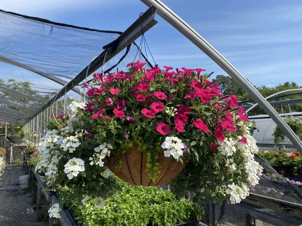 Expert residential landscaping for outdoor upgrades in Baton Rouge, LA by Plant Tech