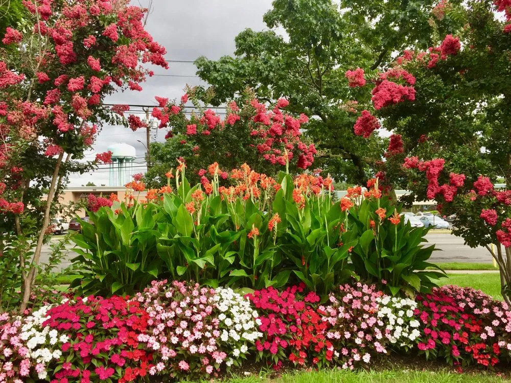 Expert outdoor landscaping in North Bellmore, NY by Plant Trends