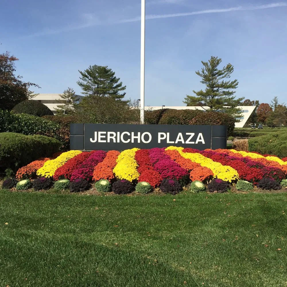 Expert outdoor landscaping in North Bellmore, NY - Plant Trends