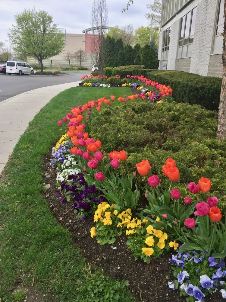 Trusted residential landscaping experts serving North Bellmore, NY - Plant Trends