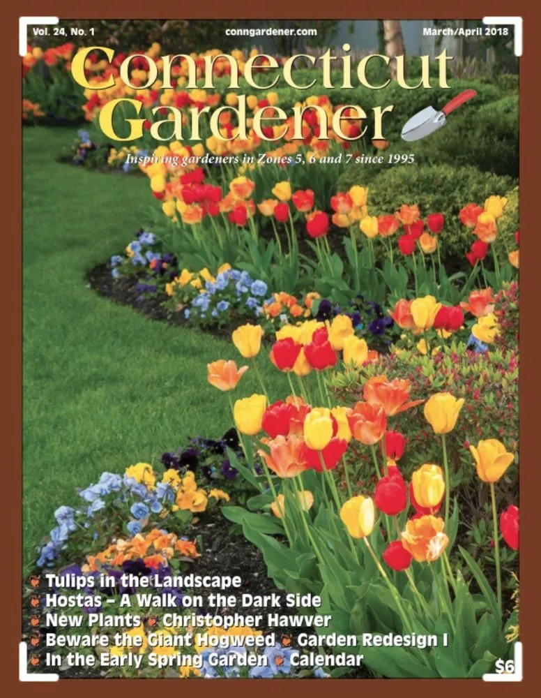 Professional landscape design in North Bellmore, NY - Plant Trends