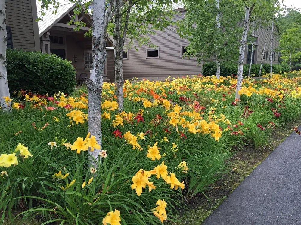 Trusted lawn mowing service for year-round maintenance in Ludlow, VT by Plant Works Landscaping