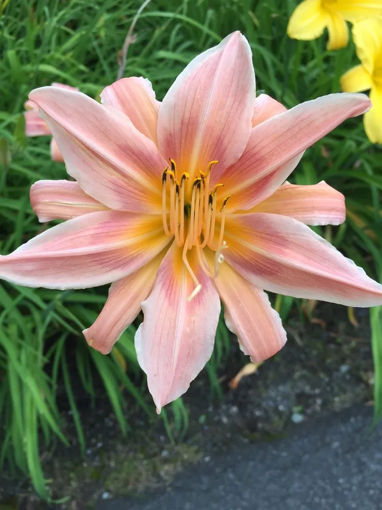 Professional outdoor landscaping experts serving Ludlow, VT - Plant Works Landscaping