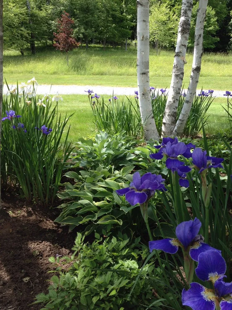 Reliable garden landscaping experts serving Ludlow, VT - Plant Works Landscaping