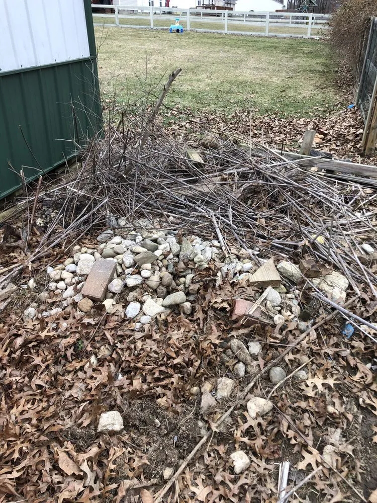 Reliable yard maintenance experts serving Cincinnati, OH - Plant World