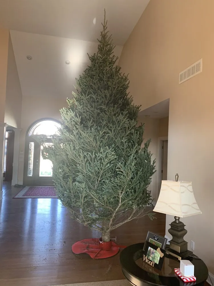 Expert landscape design in Cincinnati, OH - Plant World