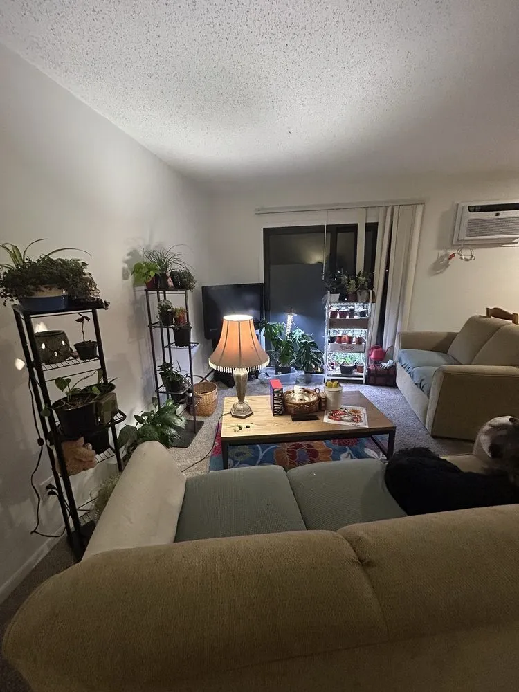 Trusted landscaping services near you in Cincinnati, OH by Plant World