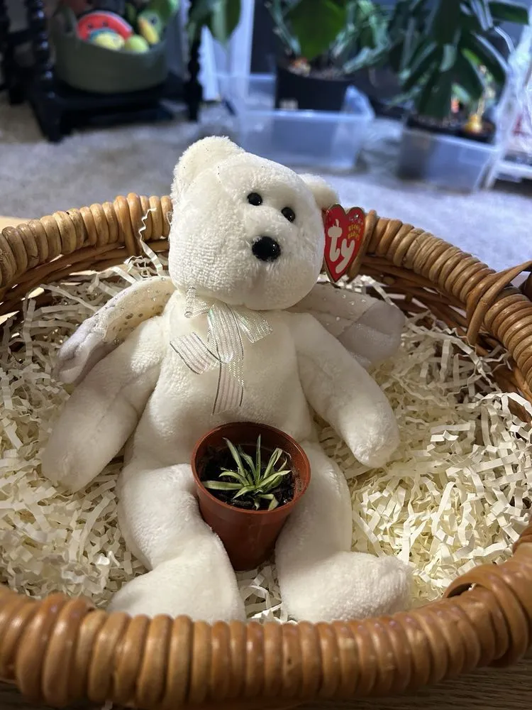 Top-rated yard cleanup service in Cincinnati, OH by Plant World