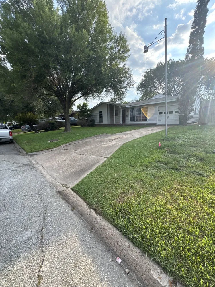 Reliable landscaping services experts serving Pasadena, TX - Planta Landscaping