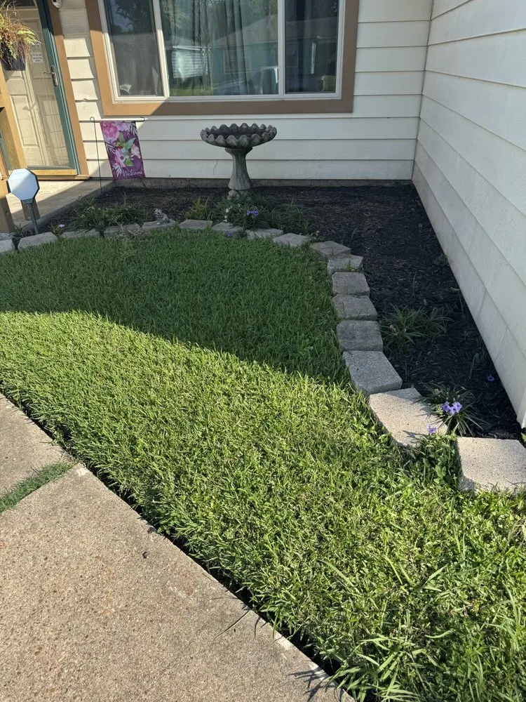 Reliable yard cleanup service experts serving Pasadena, TX - Planta Landscaping