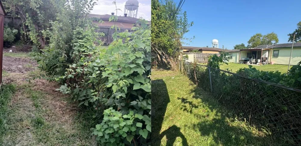 Professional lawn care service in Pasadena, TX by Planta Landscaping