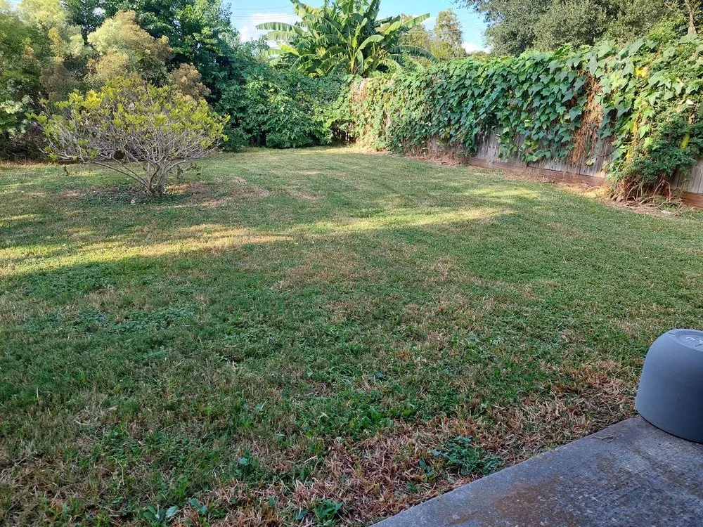 Local residential landscaping near you across Pasadena, TX - Planta Landscaping