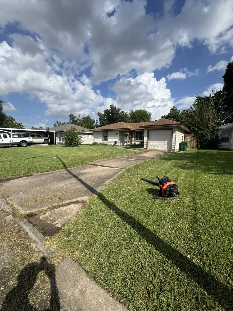 Trusted lawn care service experts serving Pasadena, TX - Planta Landscaping