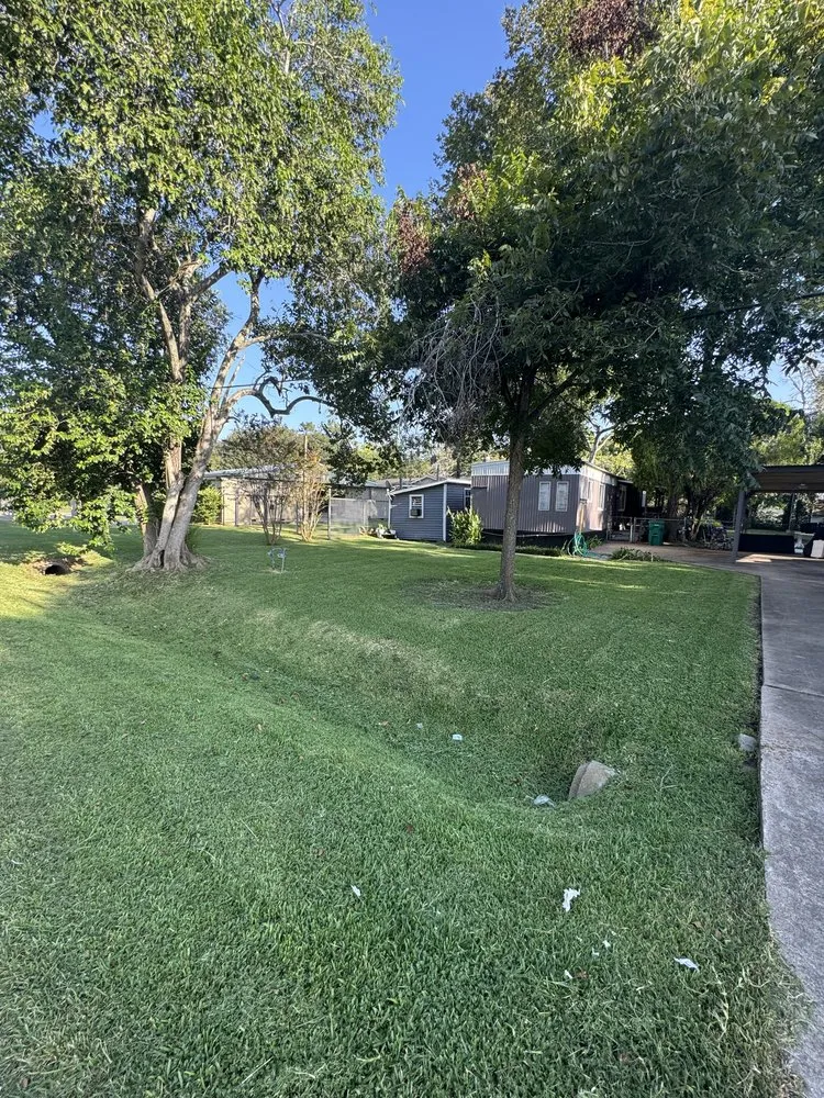 Local residential landscaping in Pasadena, TX by Planta Landscaping