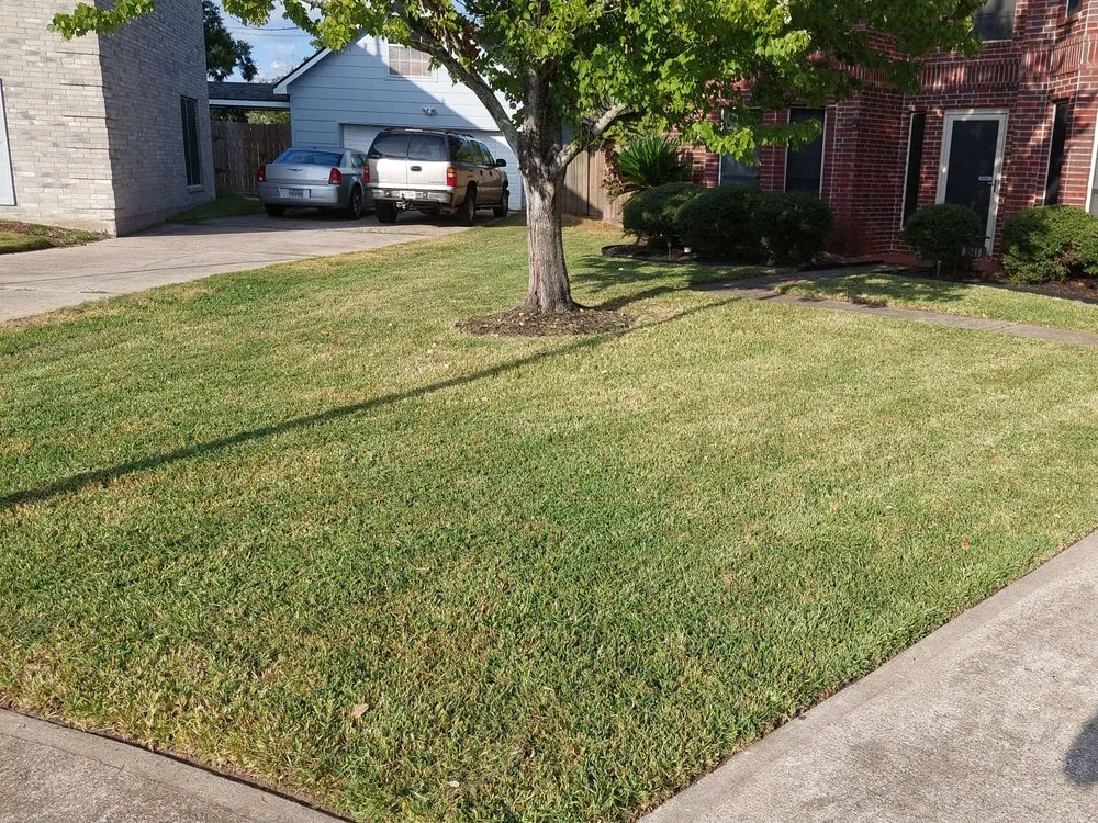 Professional landscape design with custom design in Pasadena, TX by Planta Landscaping