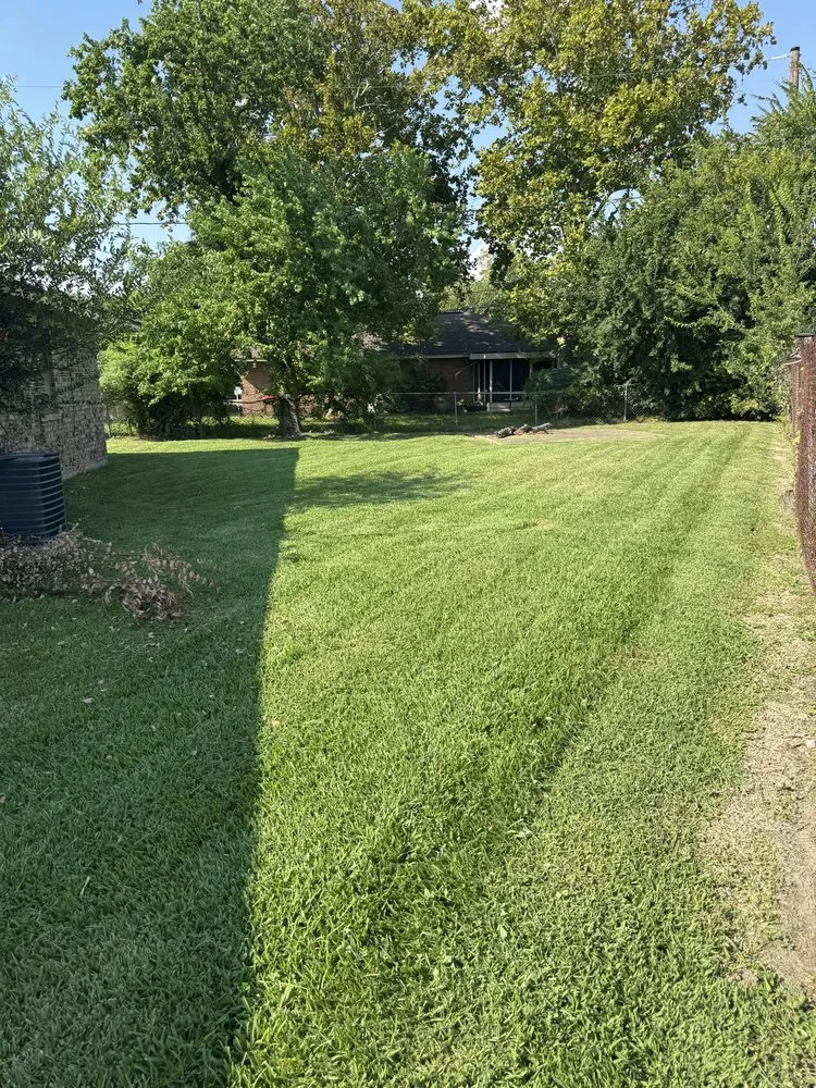 Top-rated yard cleanup service in Pasadena, TX - Planta Landscaping