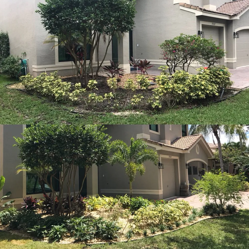 Custom landscape design in Boca Raton, FL - Plantae