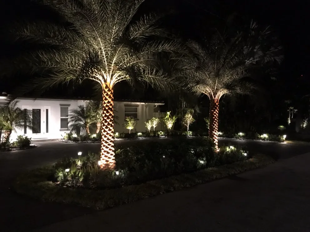 Reliable yard cleanup service in Boca Raton, FL by Plantae