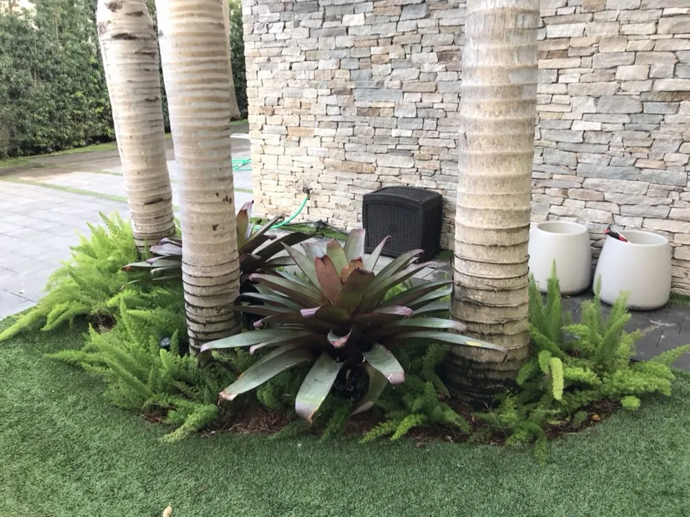 Top-rated lawn mowing service for beautiful yards in Boca Raton, FL by Plantae