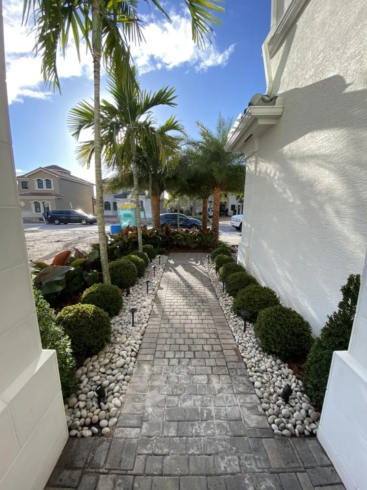 Professional landscaping services in Boca Raton, FL - Plantae