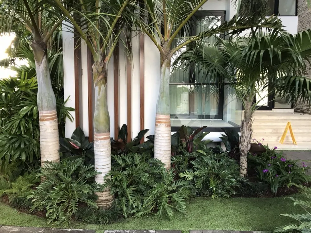 Top-rated residential landscaping with custom design in Boca Raton, FL by Plantae