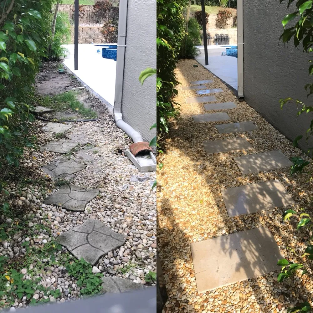 Top-rated yard cleanup service in Boca Raton, FL by Plantae