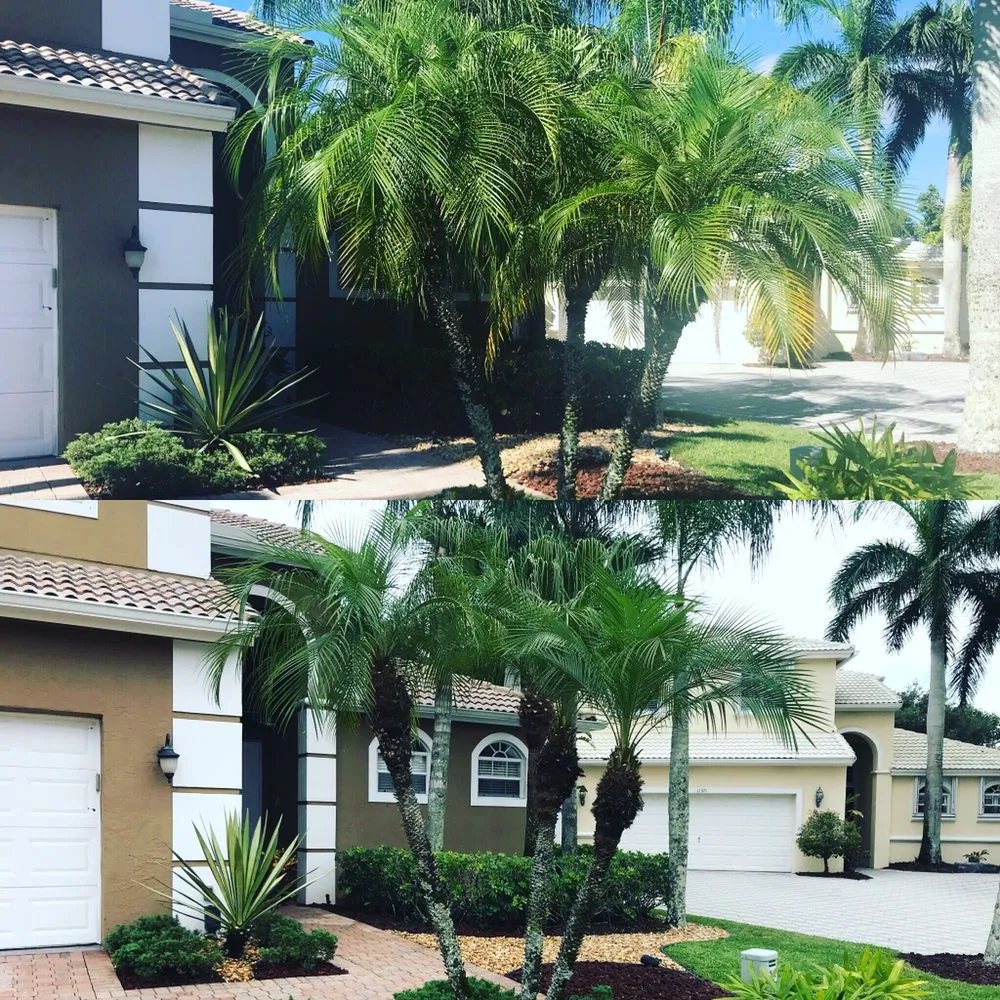 Reliable lawn care service in Boca Raton, FL - Plantae