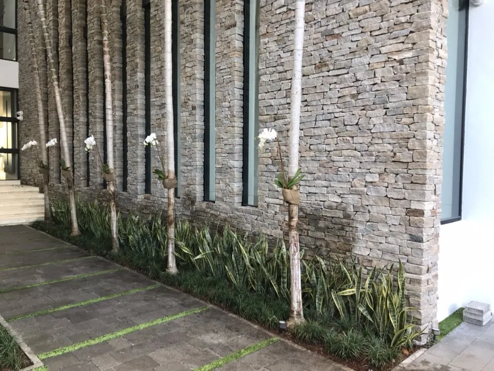 Affordable landscape installation experts serving Boca Raton, FL - Plantae